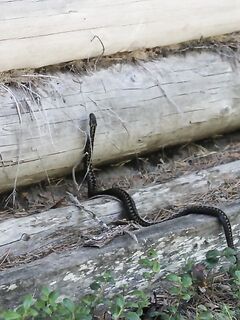 Пустая строка в теме — что хотели отметить по Чупе, по рыбалке или маршруту?