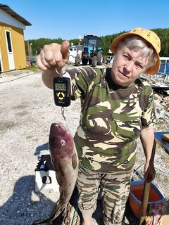 Фото приложено — по размеру и виду всё понятно