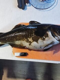 Самая большая на сегодня — зафиксировал, дальше поищем окно на обновление