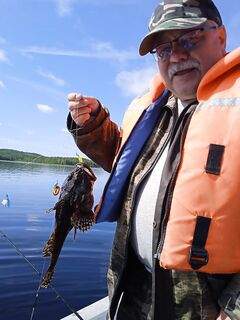 «Мобильники» в прилове, зубатка и четыре трески — клев без огня