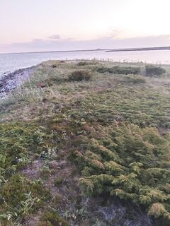 Чупа-Чкаловский-острова — пустая запись, нужна деталь для сюжета