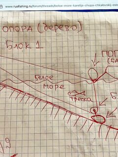 «Я делаю примерно так» — закрепите по месту и времени, чтобы было полезно