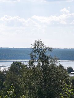 Рекордный отлив перед выездом, мошка лезет везде — закрыли день как смогли