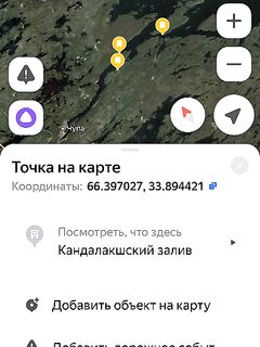 Олений, мидии, белухи и котики; ржавый корпус на мели у выхода из губы — что за судно?