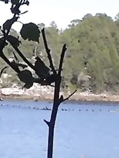 Загоны в акватории: это форелевое хозяйство или что, где именно место?