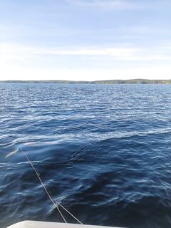 Пулонга в заметке: точка старта маршрутов по губе и к морю