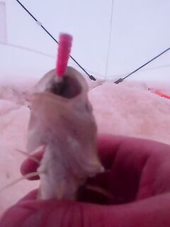 Отлив и ожидание воды