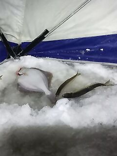 Утренняя тишина Сухого моря