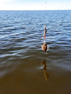 День ВМФ — традиция на воде