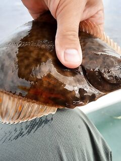 Последние тёплые дни у моря