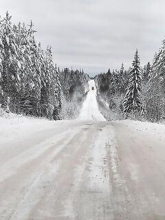 Ночная дорога в Луду и трофейная навага