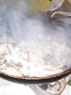 Навага, мороз и шутки у костра