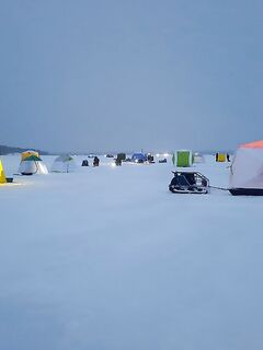 Белое море: промах с местом ловли