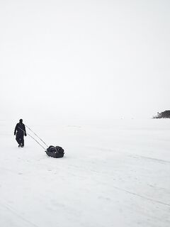 Белое море: солнце и мороз, навага пошла