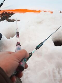 Белое море: снова Сухое море и махалки