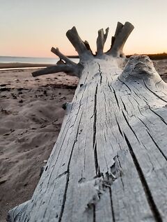 Белое море: треска и рявча на солнцепёке
