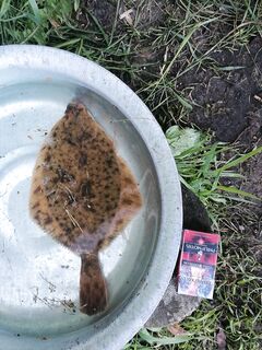 Белое море, донка и черви с отлива