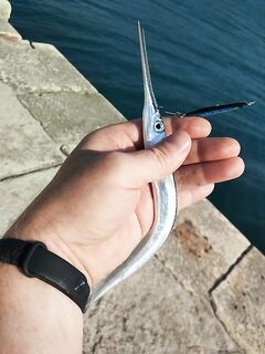 Черногория, Будва и окрест — ультралайт, пилькеры 10 г и кошка на одинарнике