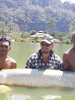 Таиландская экзотика и аропайма на 95 кг