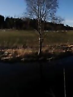 Финляндия, отдых без фанатизма — малые речки, форель и звонок от базового штаба