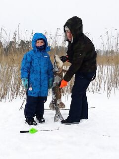 Финляндия, ратлины рулят — щука 9.05, серия трофеев и два обрыва