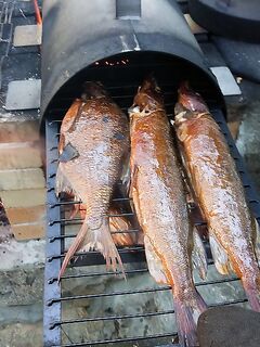 Финляндия: список снастей для озера и что реально понадобится