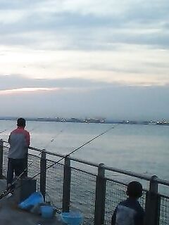 Нью-Джерси, фишинг и краббинг — пирсы, сетка для шейек и бассы с донки