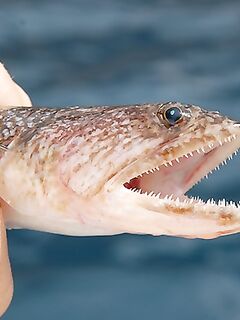 Греция, Кос: сверил вид по интернету и совпало