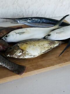 Греция, Пелопоннес — краткий отчет и без фото по правилам площадки