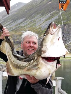 Ищу попутчиков: Северная Норвегия, остров Сероя — палтус, треска, сайда