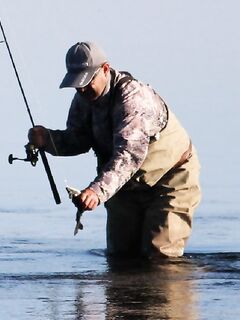 Попутчики в северную Швецию