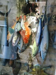 Калабрия: сбирулино, морские черви и опарыш — сарган в последний день