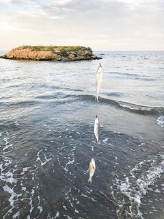 Каспий, Рыбный, Избербаш — утренняя серия поклёвок