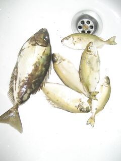 Фотоотчёт из Кемера