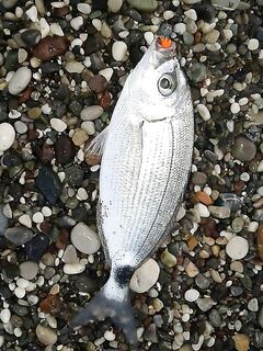 Кемер, пустая строка и ожидание клева