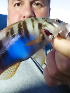 Кемер, короткая запись о выезде