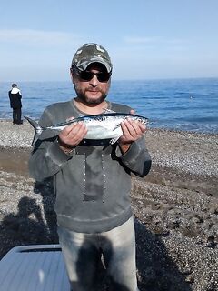 Кемер, пеламида на бомбарду и фугу на силикон