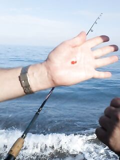 Резину объедают за секунду!