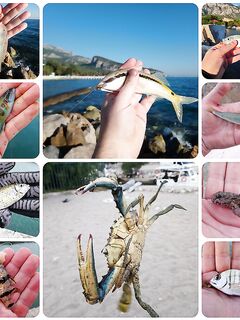 Отельный минипорт, крабы и лаврак у Кемера