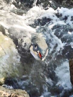 Кемер: первые обрывы, первый баллон и вечера у моря