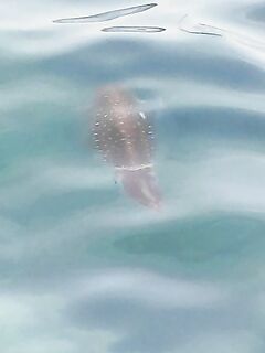 Последний день в Кемере: каракатицы вместо рыбы