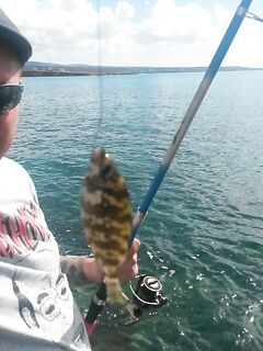 Морская рыбалка с берега, детёныш мурены и густеры