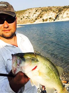 Фотка для затравки перед отчётом