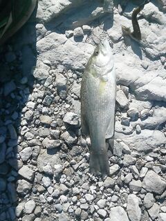 Кипр, фотоотчёт