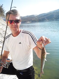 Кипр, рыбка кот — шумная находка