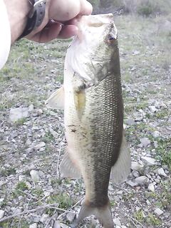 Кипр, отличная рыбалка на дамбах и добрые отчёты