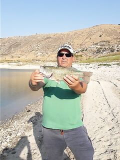 Кипр, наши бассы — короткий отчёт