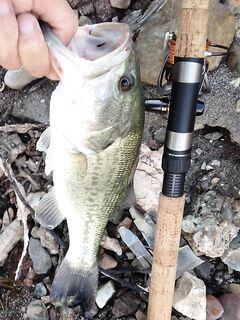 Сентябрьская Аспра и три поклёвки