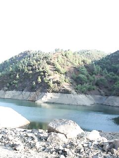 Полис и трудный поиск дороги к водоёму