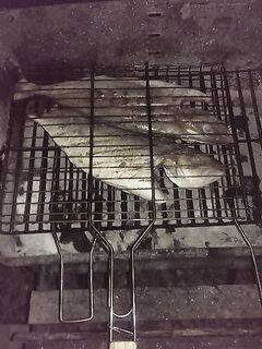 Морская рыбалка и розовая рыбка на пилькер